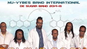 NuVybesBandIntl2014