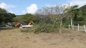 Clearing of the venue for the first Nevis Blues Festival at Oualie Bay scheduled for April 16, 17 and 18, 2015