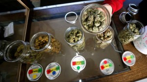  A volunteer displays jars of dried cannabis buds at the La Brea Collective medical marijuana dispensary in Los Angeles, Calif., March 18, 2014. Photo by Lucy Nicholson/Reuters 