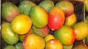 Mangoes-1