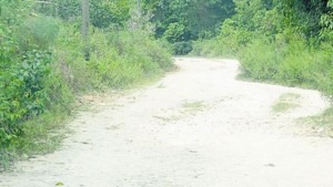 A section of the lonely road where the attack happened. (PHOTOS: RENAE DIXON) 