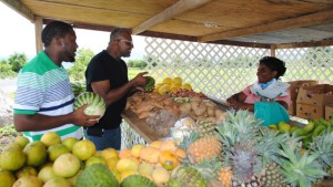 Fruits galore: Mrs Coreena Johnson-Liburd is seen serving two clients at her wholesale and retail outlet on the Island Main Road in New River.