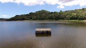 A home, once part of a community before the area was submerged by the Carraizo reservoir, sits partially uncovered due to a drought in Trujillo Alto, Puerto Rico, Wednesday, Aug. 5, 2015. The severe drought in Puerto Rico is forcing businesses to temporarily close, public schools to cancel breakfast service and people to find creative ways to stay clean amid sweltering temperatures. (AP Photo/Ricardo Arduengo)