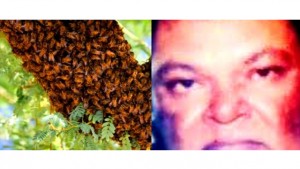 Guyana Worker+Killer Bees-1