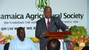 President of the United States-based National Association of Christian Educators Dr Amos Jones (standing) and President of the JAS, Norman Grant (sitting).