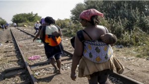 Migrants, hoping to cross into Hungary, walk with babies on their backs along a railway track outside the village of Horgos in Serbia, towards the border it shares with Hungary August 31, 2015. 