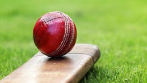 cricket ball-1