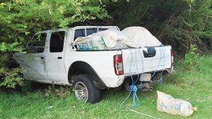 Officers attached to the Office of National Drug and Money Laundering Control Policy (ONDCP) arrested two men, yesterday, after they were caught transporting close to 854 pounds of compressed cannabis in this pickup truck